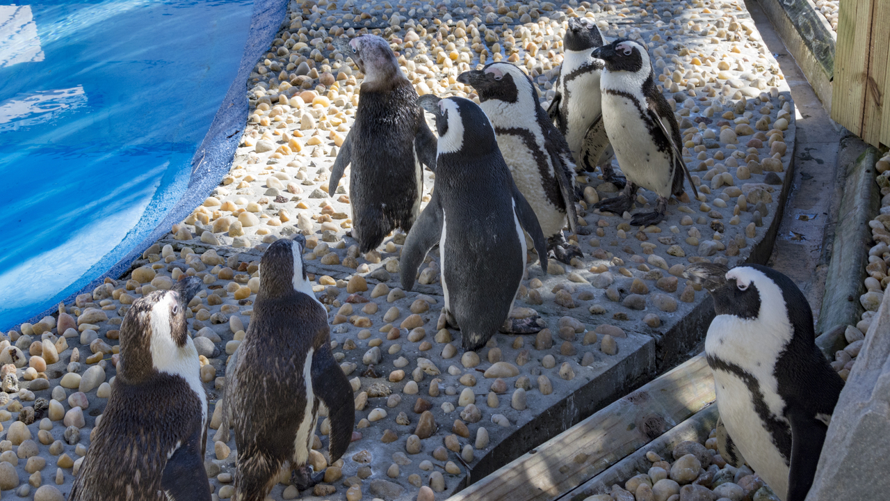 20160217-104023••Fort Walton Beach•Florida•USA